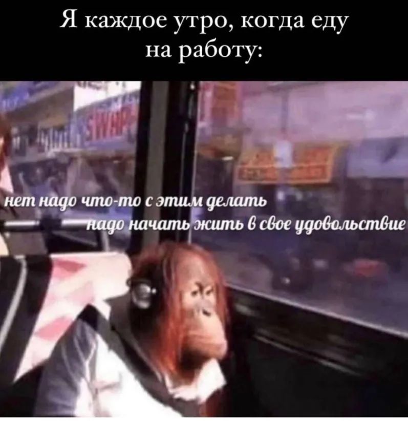 Я каждое утро когда еду на работу