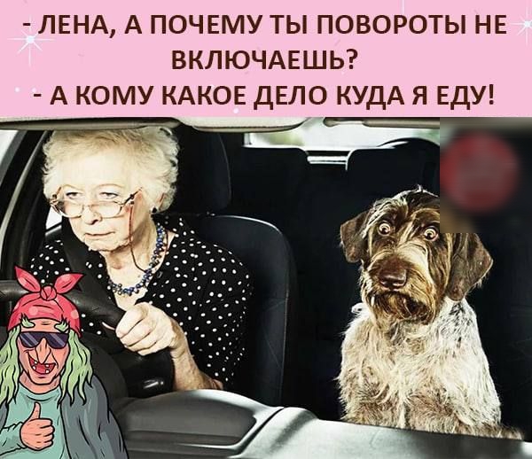 ЛЕНА А ПОЧЕМУ ТЫ ПОВОРОТЫ НЕ ВКЛЮЧАЕШЬ А КОМУ КАКОЕ ДЕЛО КУДА Я ЕДУ