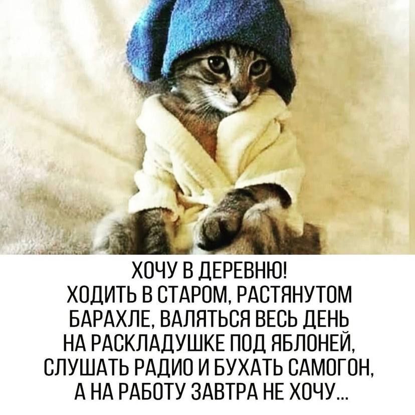 ХОДИТЬ В СТАРОМ РАОТЯНУТОМ БАРАХЛЕ ВАЛЯТЬСЯ ВЕСЬ ДЕН3 НА РАОКЛАДУШКЕ ПОД ЯБЛОНЕИ СЛУШАТЬ РАДИО И БУХАТЬ САМОГОН А НА РАБОТУ ЗАВТРА НЕ ХОЧУ