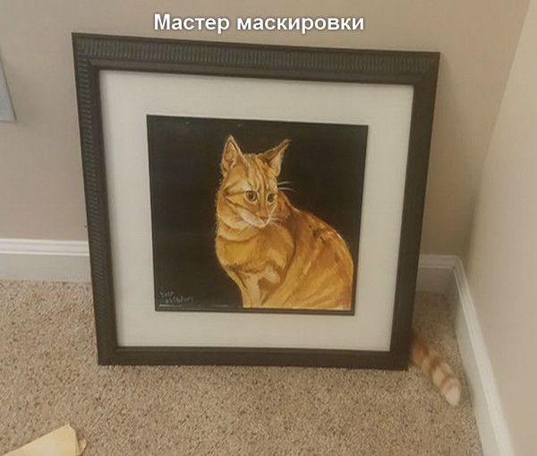 811А9101и