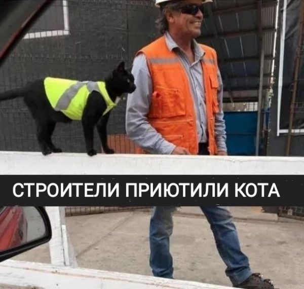 СТРОИТЕЛИ ПРИ ЮТИЛИ КОТА