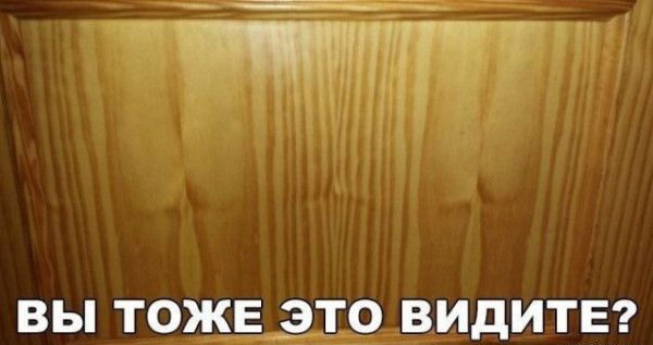 ВЫ ТОЖЕ ЭТО ВИДИТЕ