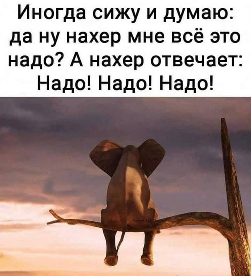 Иногда сижу и думаю да ну нахер мне всё это надо А нахер отвечает НадоНадоНадо