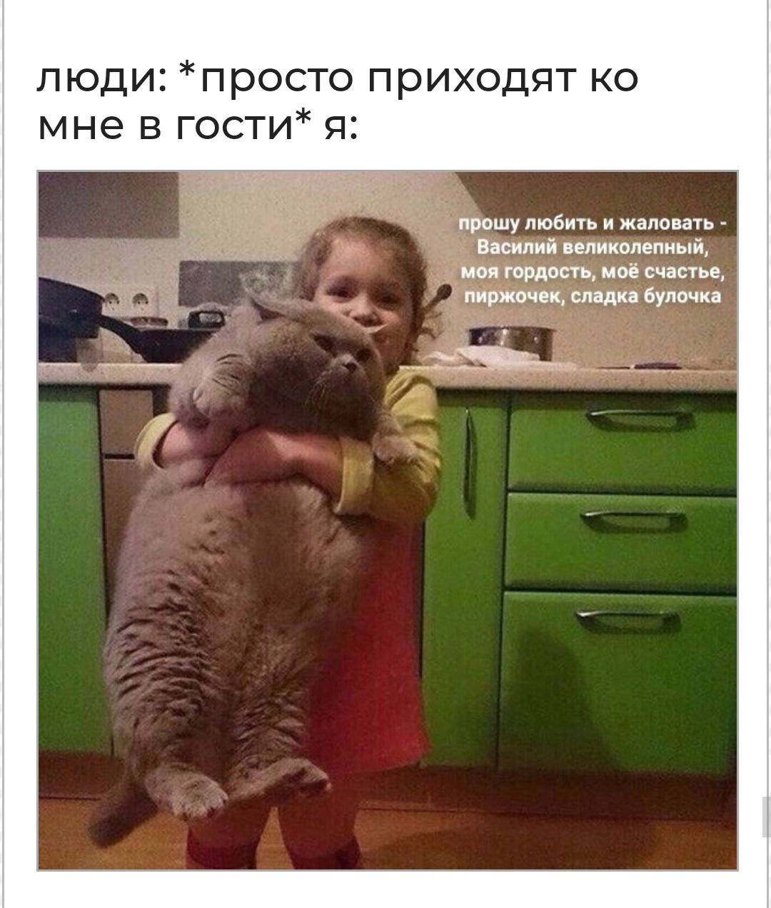 люди просто приходят ко мне в гости я _ прошу любить и жаловать Василий великолепный _ моя гордость моё счастье пирита сладка булочка ___