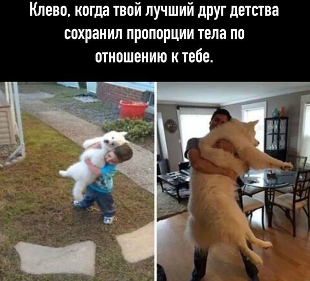Клево когда твой лучший друг детства сохранил пропорции тела по отношению к тебе
