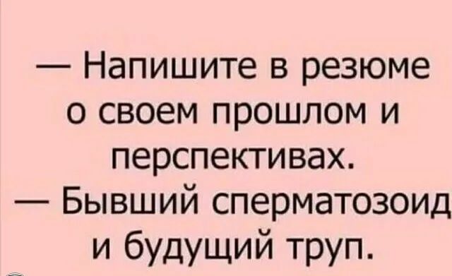 Напишите в резюме о своем прошлом и перспективах Бывший сперматозоид и будущий труп