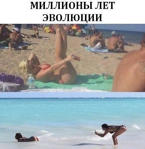 МИЛЛИОНЫ ЛЕТ ЭВОЛЮЦИИ