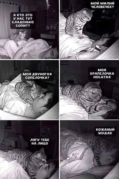 мой милый читы шт д на по ик пп слмпиько сопит моя моя двуиогдя ходимо лид сапыачкп кежднми му