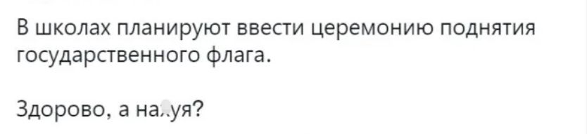 В школах планируют ввести церемонию поднятия государственного флага Здорово а науя