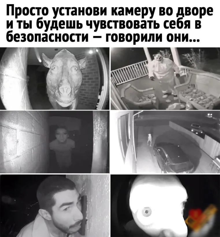 Просто установи камеру во воре и ты будешь чувствовать се я в безопасности говорили они
