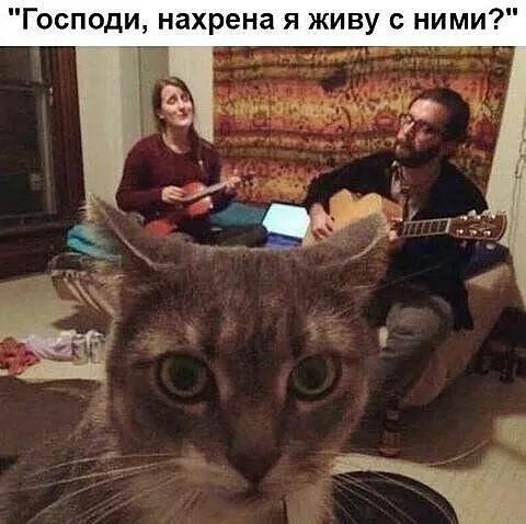 Господи, нахрена я живу с ними?