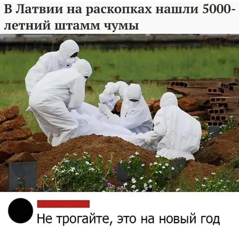 В Латвии на раскопках нашли 5000 летний штамм чумы Не трогайте это на новый год