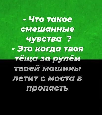 Что такое смешанные чувства Это когда твоя тёща за рулём твоей машины летит с моста в пропасть