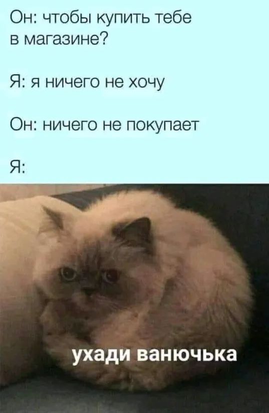 Он чтобы купить тебе в магазине Я1 Я НИЧЕГО не ХОЧУ ОН НИЧЕГО НЭ ПОКУПЗЭТ ухади ВЗНЮЧЬКЗ