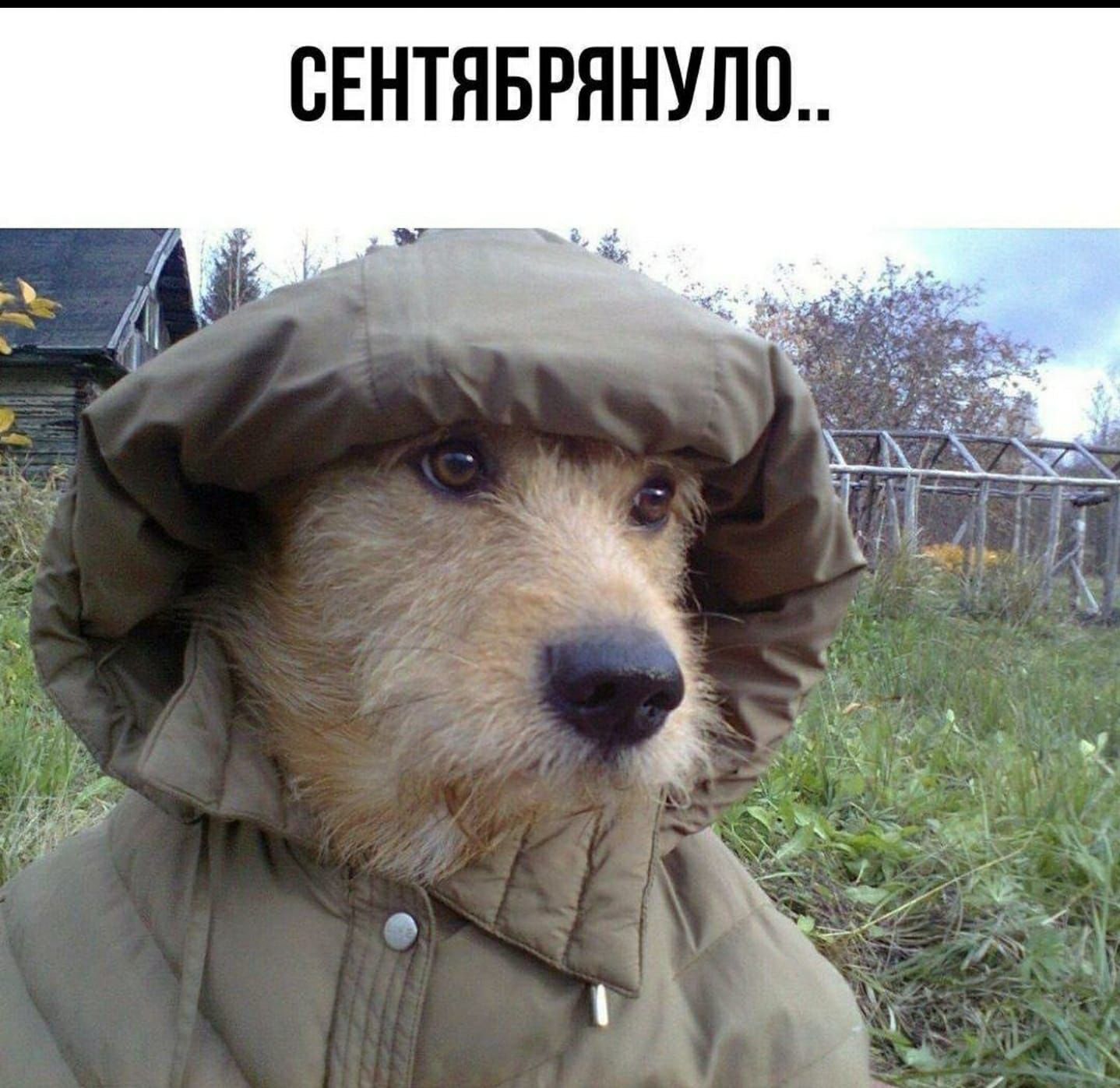 ВЕНТЯБРЯНУЛ0