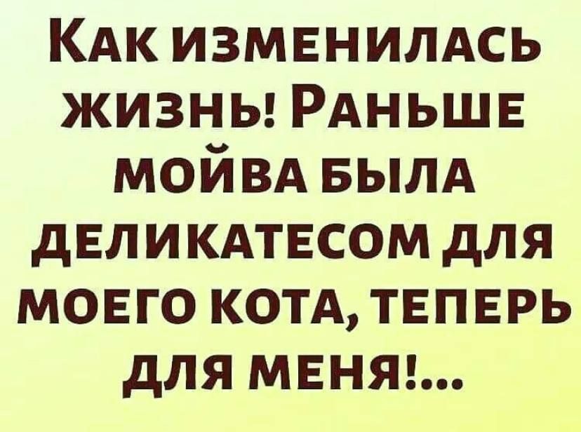КАк ИЗМЕНИЛАСЬ жизны РАНЬШЕ мойвд БЫЛА дЕЛИКАТЕСОМ для МОЕГО котд ТЕПЕРЬ для МЕНЯ