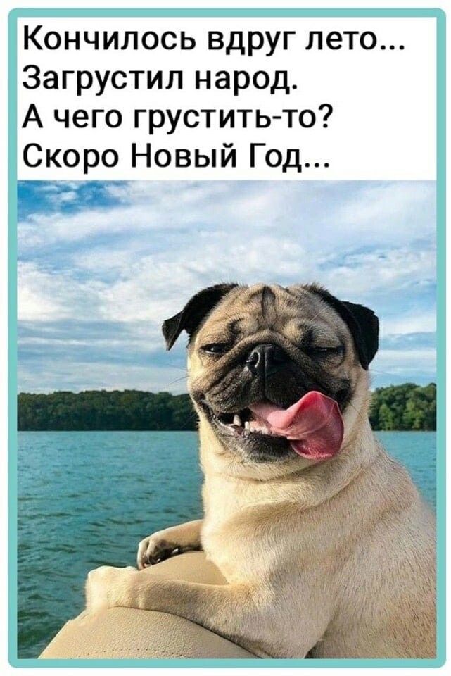 КОНЧИЛОСЬ ВДРУГ лето Загрустил народ А чего грустить то Скоро Новый Год