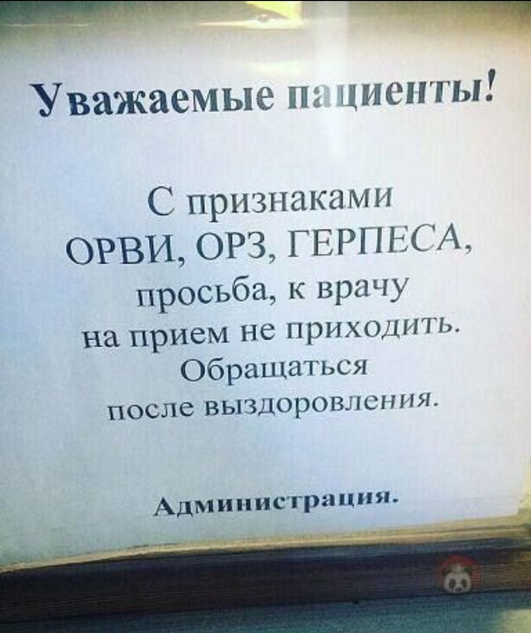 Уважаемые п циспгы С признаками ОРВИ ОРЗ Г ЕРГ ЕСА просьба к врачу на прием не ПРИХОДИТЬ Обращаться ПОСЛС ВЬЛЗДОРОВЛСНПЯ Администрация
