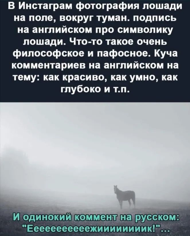 В Инстаграм фотография лошади на поле вокруг туман подпись на английском про символику лошади Что то такое очень философское и пафосное Куча комментариев на английском на тему как красиво как умно как глубоко и тп И одинокийакомментща русском Еееееееееееікиииииииик