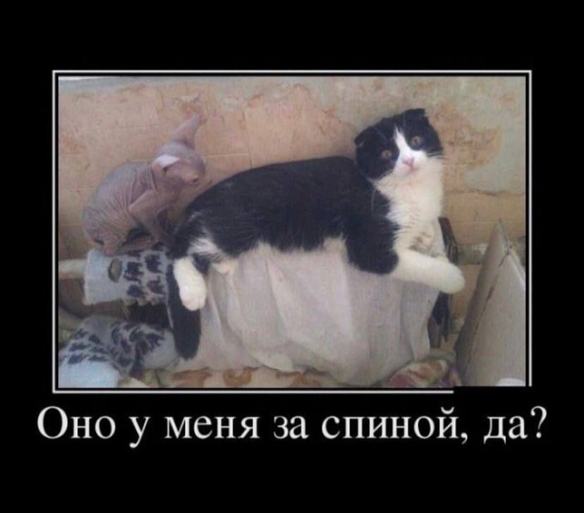 Оно у меня за спиной да