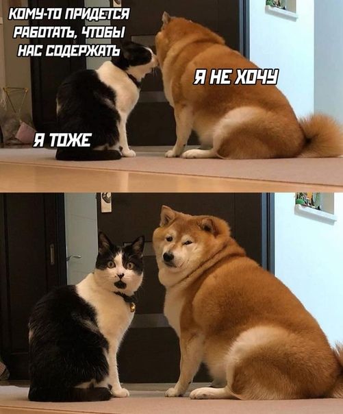 шин тп ппиаьЁгЁя Л плат тады ня пидвютть _ Я НЕ ХПЧН