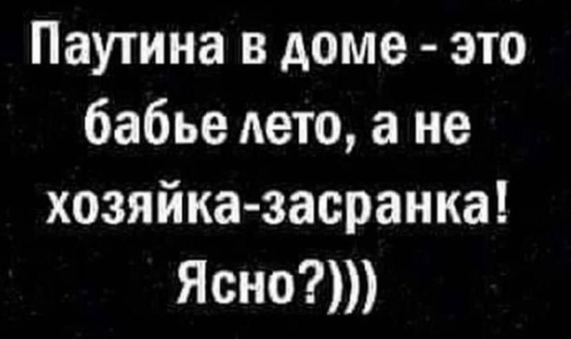 Паутина в доме это бабье лето а не хозяйказасранка Ясно