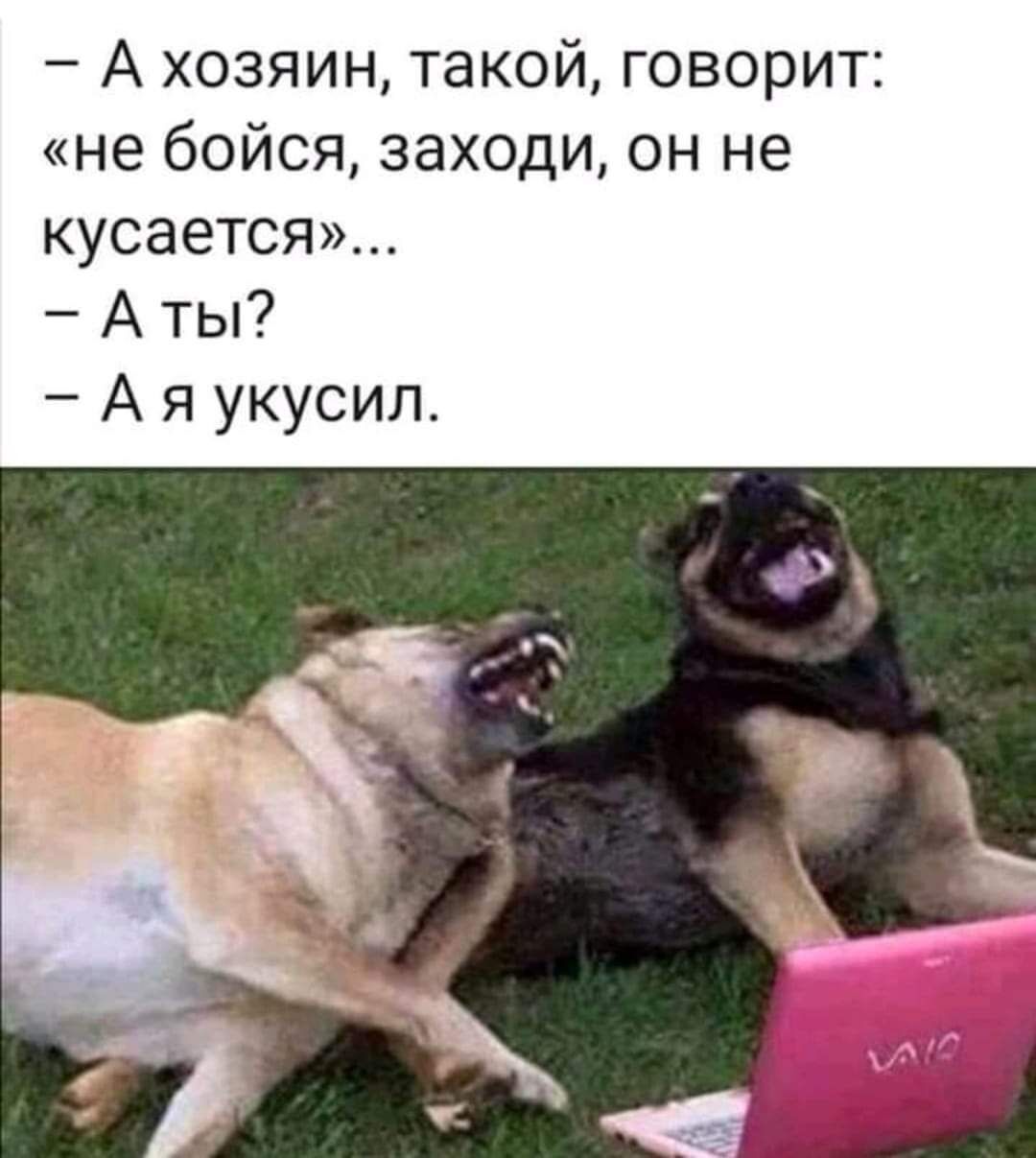А хозяин такой говорит не бойся заходи он не кусается А ты А я укусил