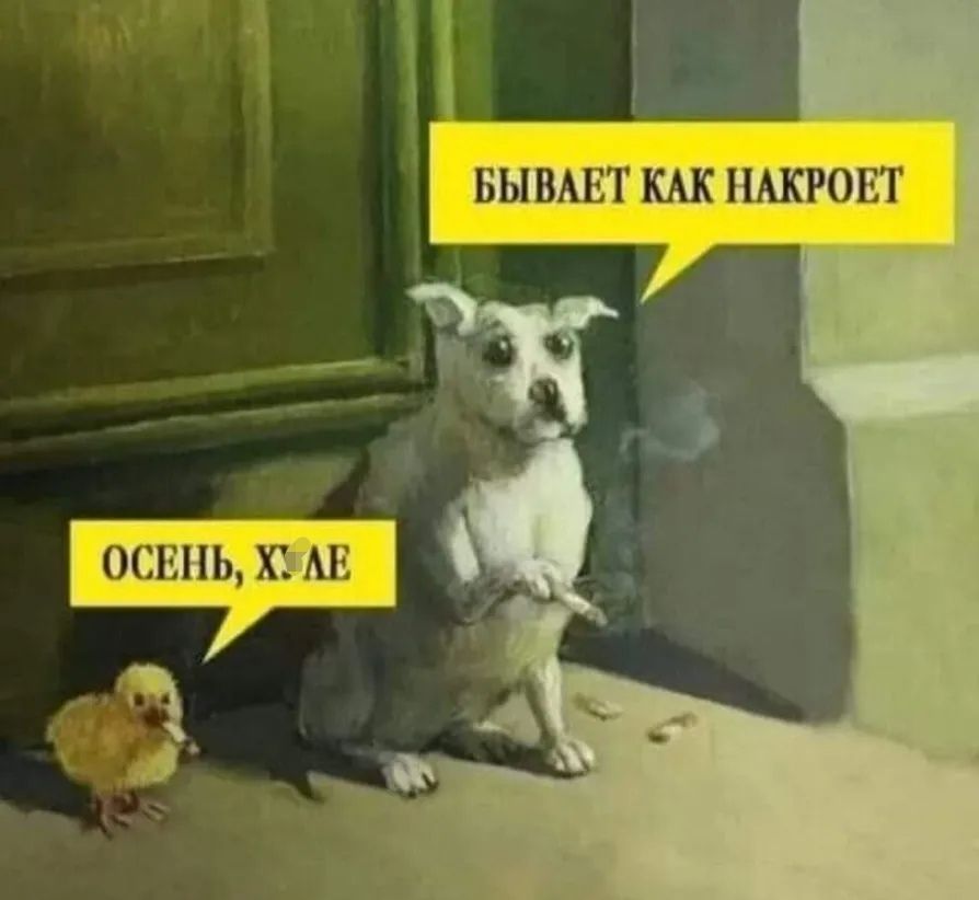 БЫВАЕТ КАК НАКРОЕТ