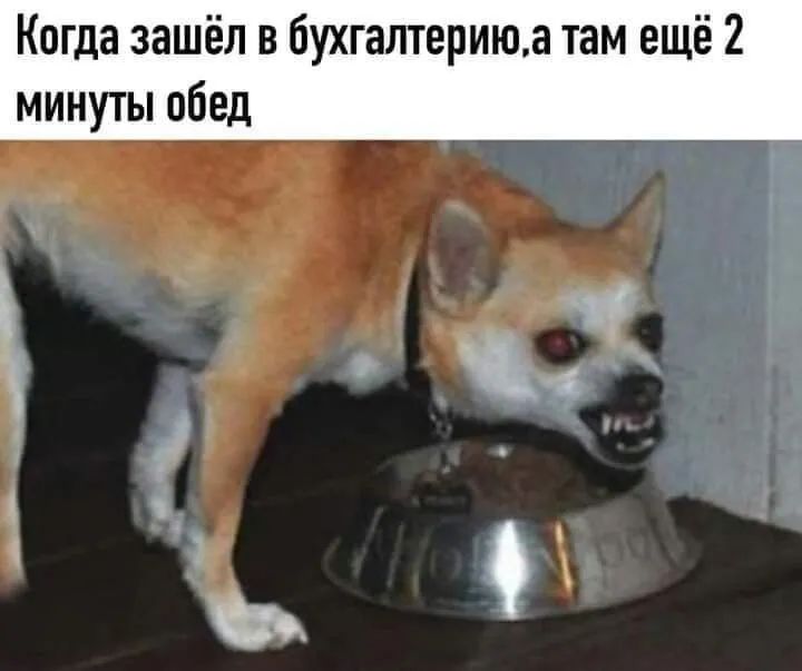 Когда зашёл в бухгалтериюа там ещё 2 минуты обед