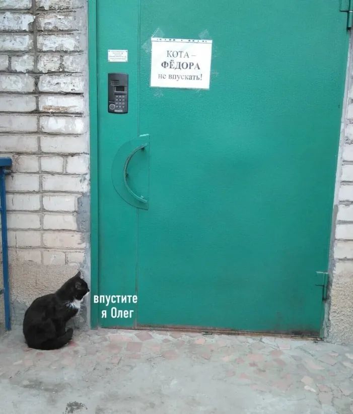 и шіпп х 1 впустите я Олег