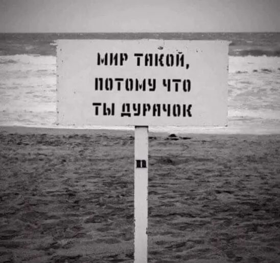мир тпйпп нотами что ты дыши тк