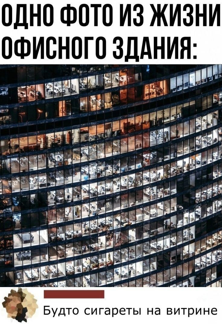 ОДНО ФОТО ИЗ ЖИЗНИ НИЯ Будто сигареты на витрине
