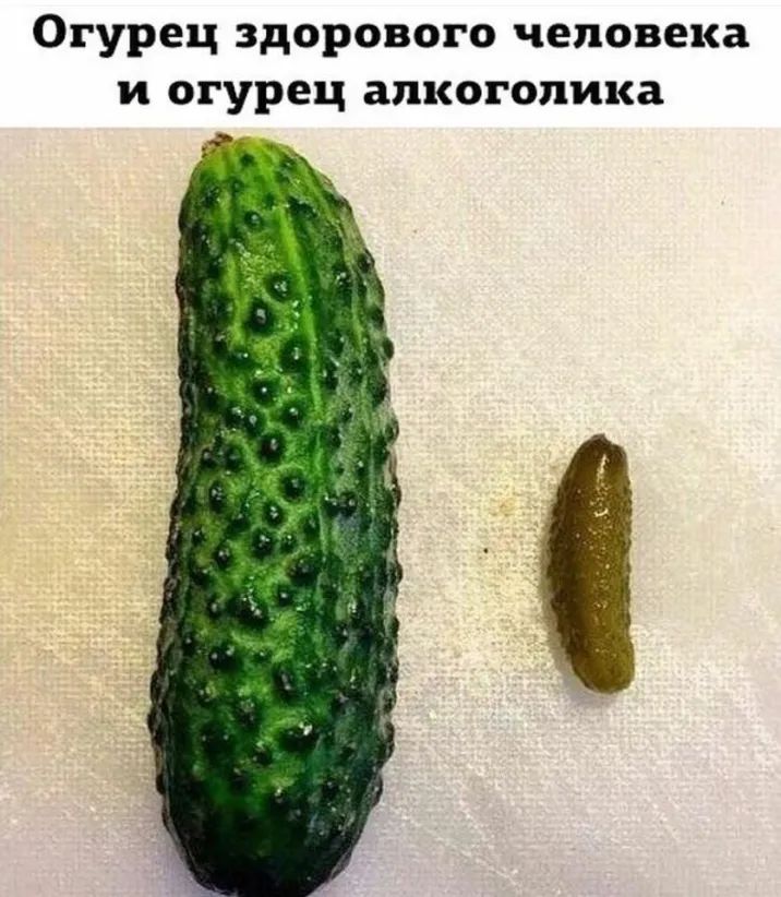 Огурец здорового человека и огурец алкоголика