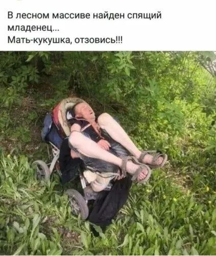 В лесном массиве найден спящий младенец Матькукушка отзовись