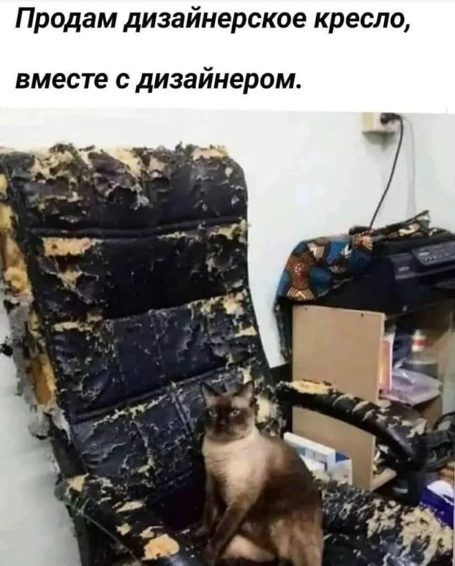 Продам дизайнерское кресло вместе с дизайнером