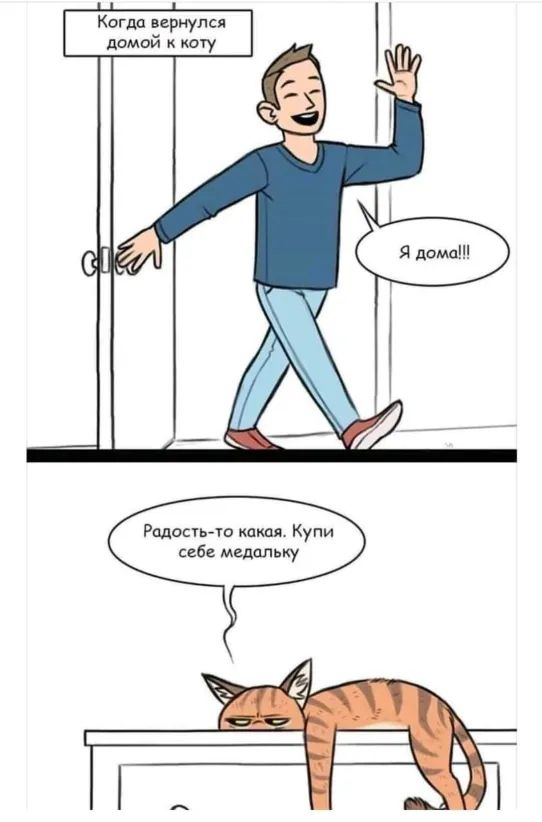 Рцдость то шкал Купи себе медпльку