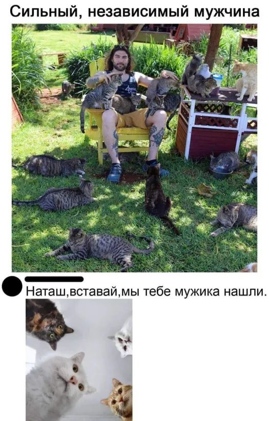 Сильный независимый мужчина