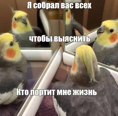 или и пойти вас всех И Г А ЧТПЁЪШЪШБНИТЬ м