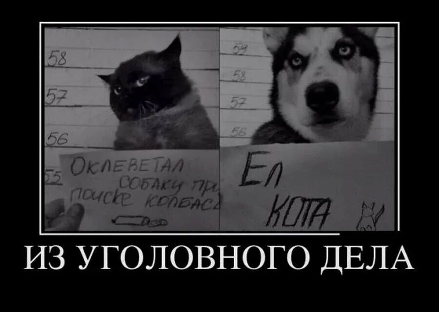 ИЗ УГОЛОВНОГО ДЕЛА