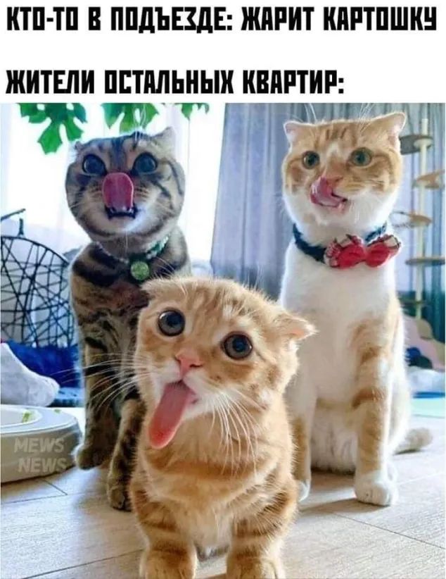 КТП ТП В ППдЪЕЗДЕ ЖПРИТ КПРТПШКЧ ЖИТЕЛИ ПЕТПЛЬНЬШ КВПРТИР