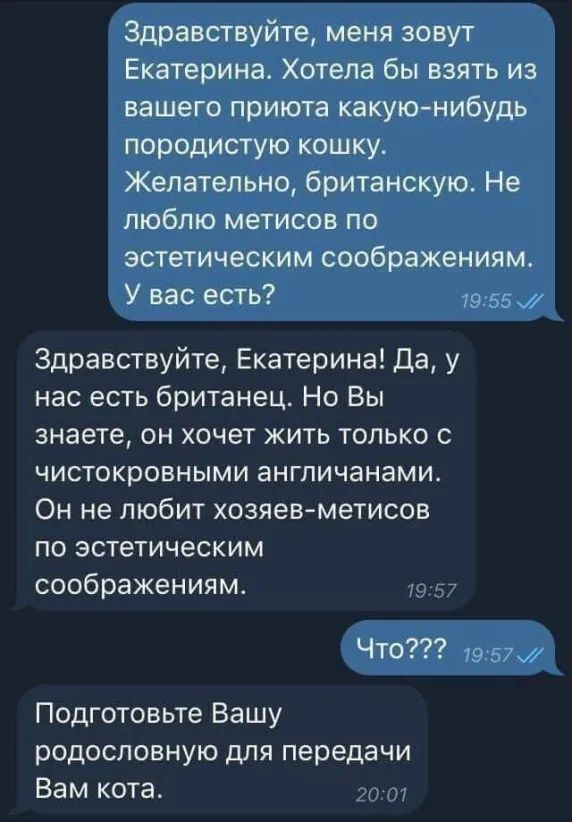 Здравствуйте меня зовут Екатерина Хотела бы взять из вашего приюта какуюнибудь породистую кошку Желательно британскую Не люблю метисов по эстетическим соображениям У вас есть 79 55 7 Здравствуйте Екатерина Да у нас есть британец Но Вы знаете он хочет жить только с чистокровными англичанами Он не любит хозяев метисов по эстетическим соображениям г гг Что из 57 Подготовьте Вашу родословную для перед