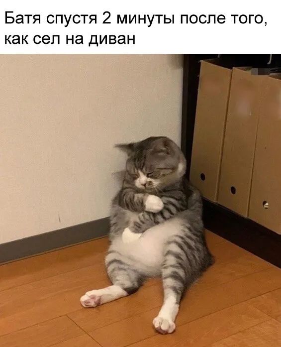 Батя спустя 2 минуты после того как сел на диван