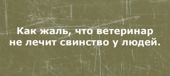 Как жаль что ветеринар не лечит свинство у людей