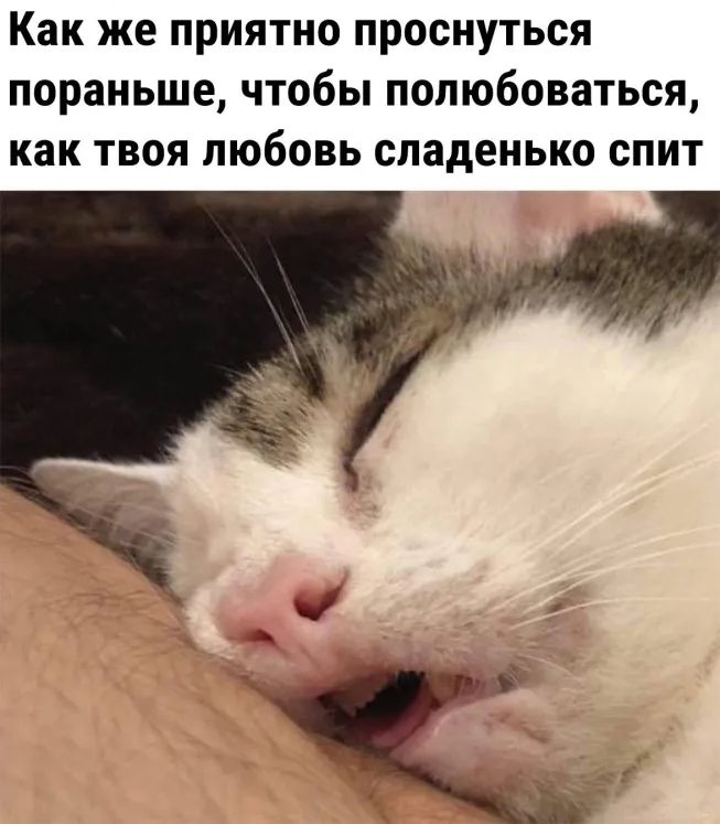 Как же приятно проснуться пораньше чтобы полюбоваться как твоя любовь спаденько спит
