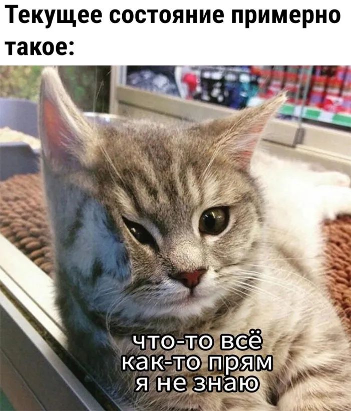 текущее состояние примерно