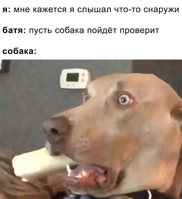 Я мне КЭЖЭТСЯ Я слышал ЧТО ТО снаружи батяпустьсобакапойдётпроверит собака