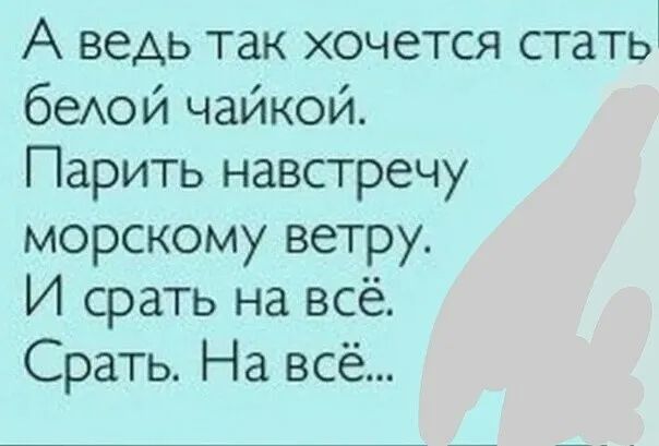 А ведь так хочется статы беюй чайкой Парить навстречу морскому ветру И срать на всё Срать На всё