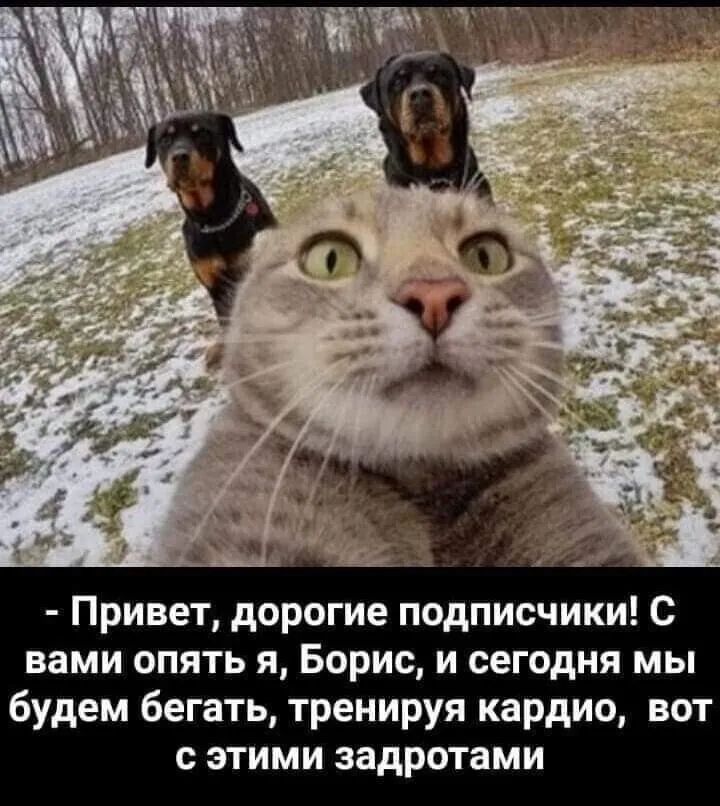 Привет дорогие подписчики С вами опять я Борис и сегодня мы будем бегать тренируя кардио вот с этими задротами