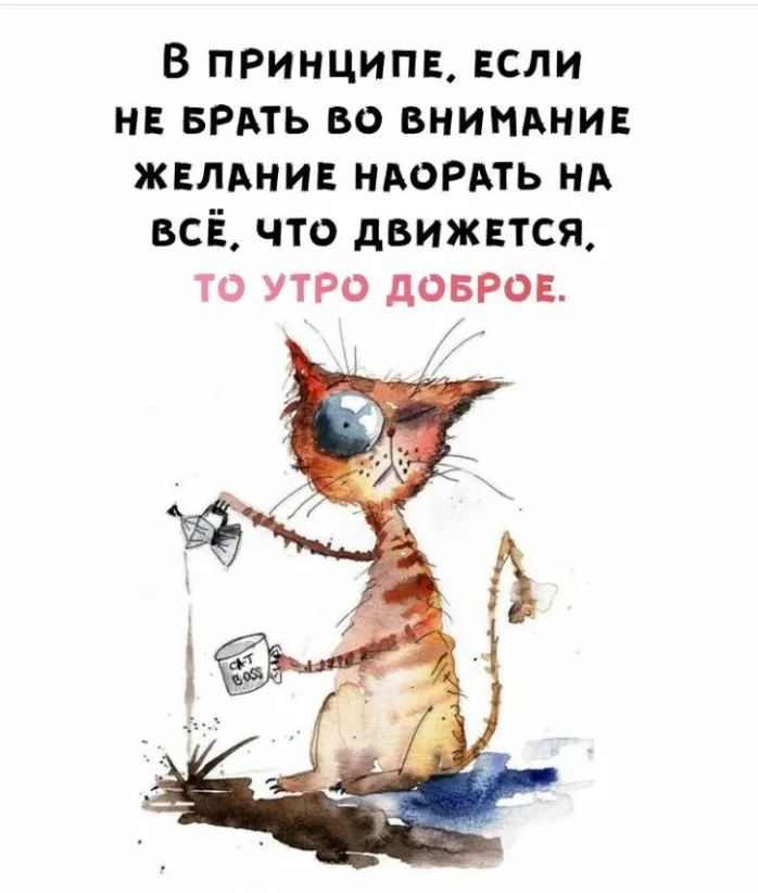 В ПРИНЦИПЕ ЕСЛИ н БРАТЬ во внимднив жвлднив ндордть нА всё что движвтся ТО УТРО дОБРОЕ