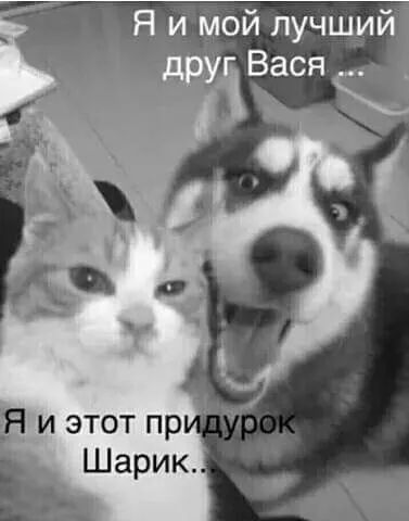 Я и мой лучший
